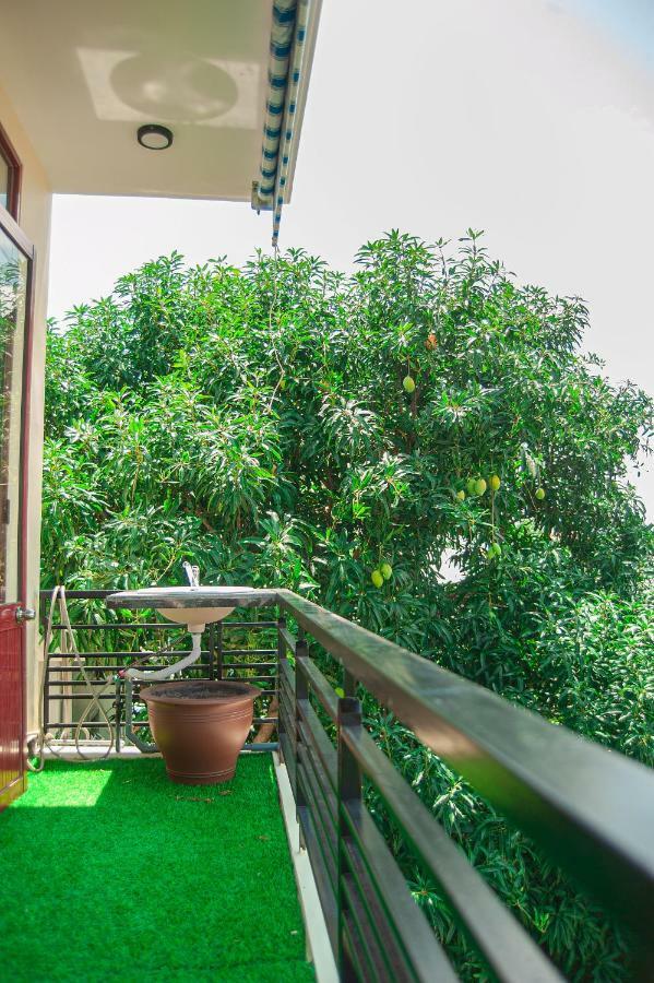 Golden Soulmate Homestay Хоян Екстер'єр фото